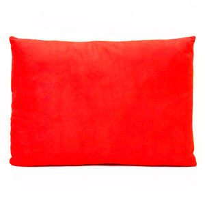 M&M’S Rectangular Pillow 15"x11"x3"